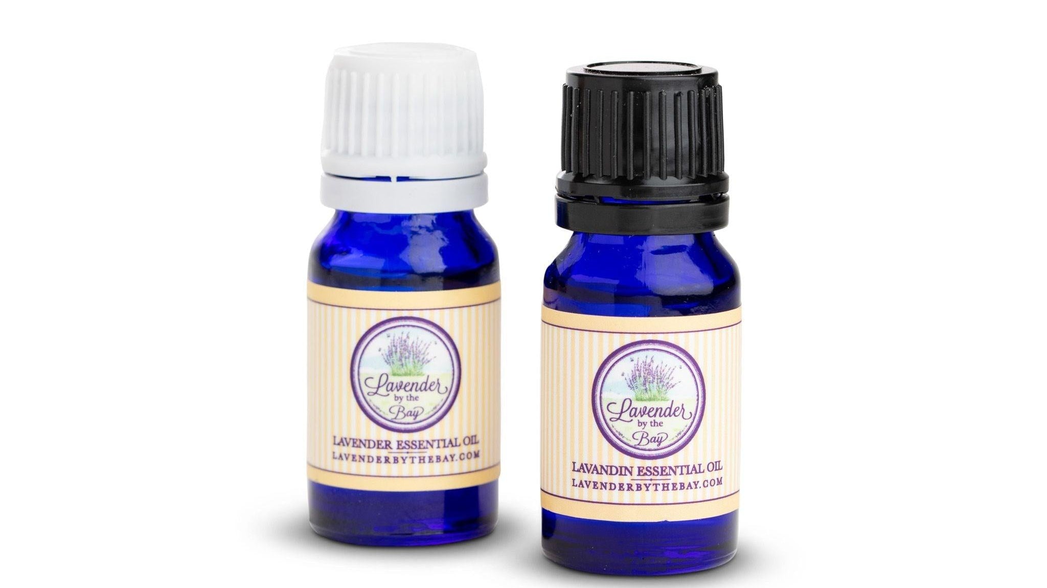 8 Benefits and Uses of Lavender and Lavandin Essential Oil - Lavender By The Bay