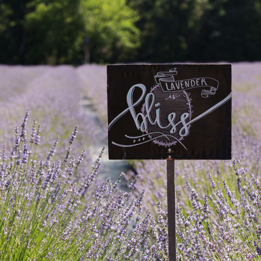 Gifts under $15 - Lavender By The Bay