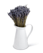 Dried French lavender bunches in vase on white background