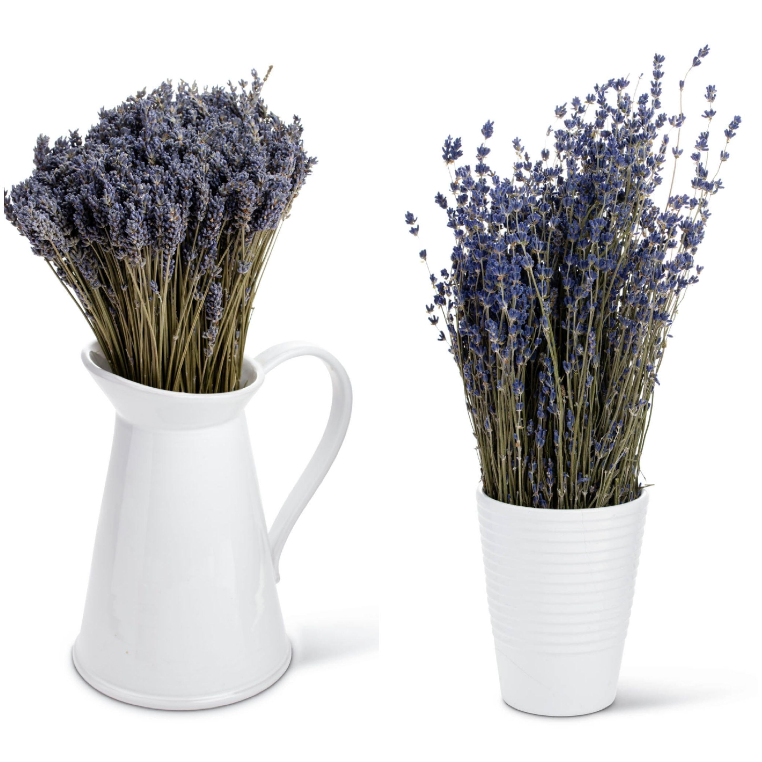 Two dried lavender bunches, one light purple and one dark purple, arranged in white ceramic vases
