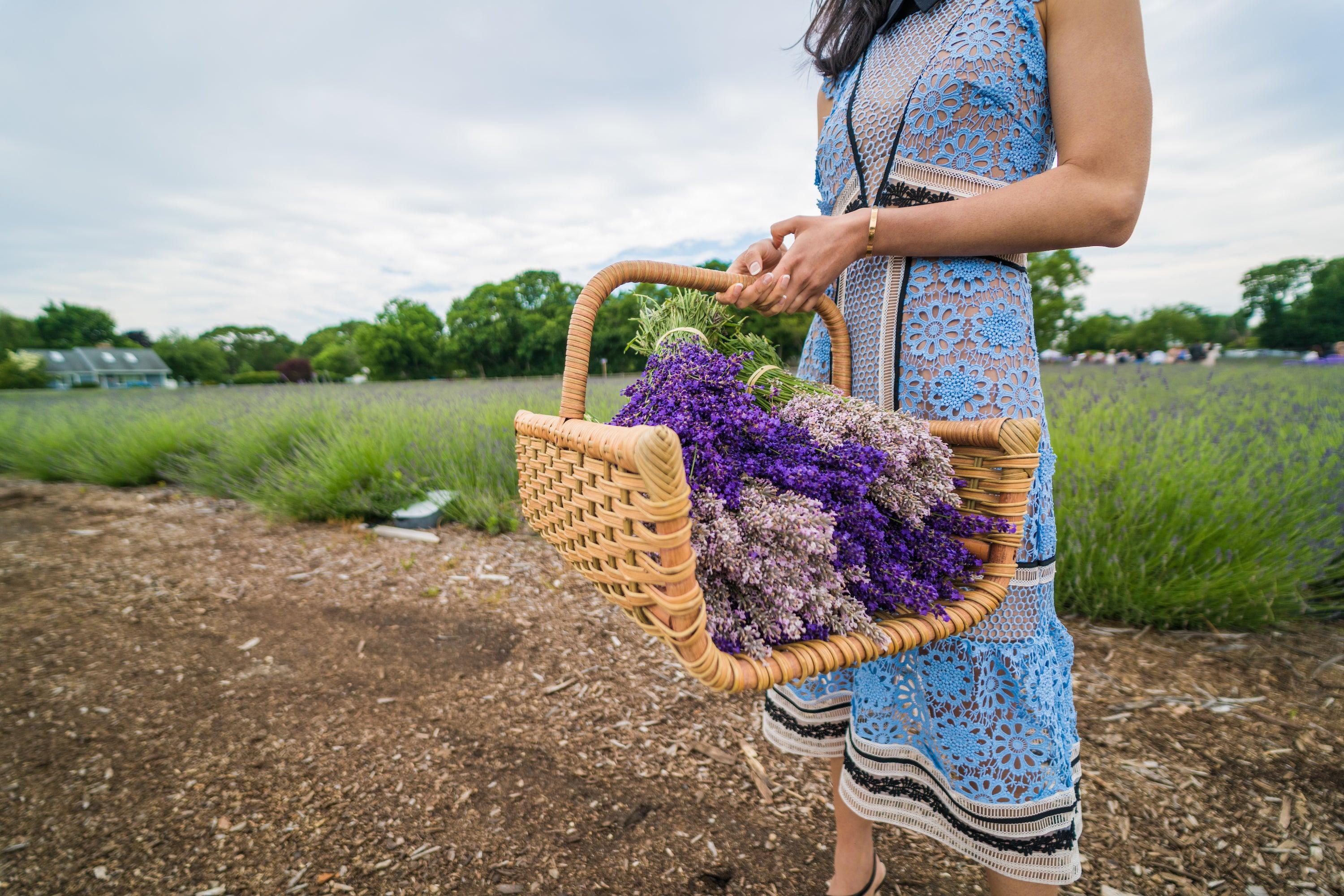 Lavender Bloom Tickets - Lavender By The Bay