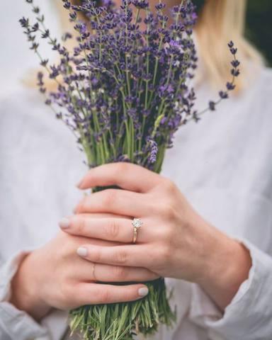 Wedding - Lavender By The Bay