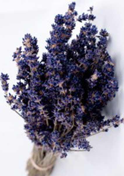 Dried English Lavender Bunches - Set of 2 - Lavender By The Bay