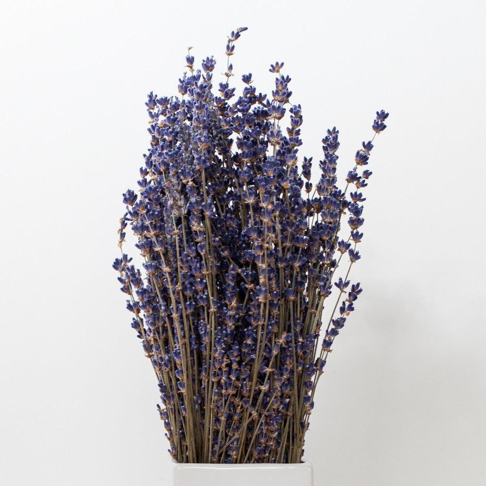 Dried French Lavender Bunches- Set of 2 - New York Lavender by the Bay –  Lavender By The Bay
