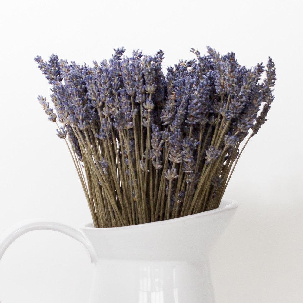 Dried French Lavender Bunches - Set of 2 - Lavender By The Bay